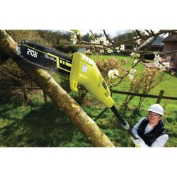 Elagueur électrique sur perche 750W RYOBI RPP755E - Guide 25 cm