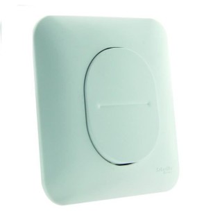 SCHNEIDER ELECTRIC Interrupteur poussoir simple 10 A Ovalis 230 V