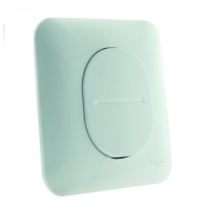 SCHNEIDER ELECTRIC Interrupteur poussoir simple 10 A Ovalis 230 V