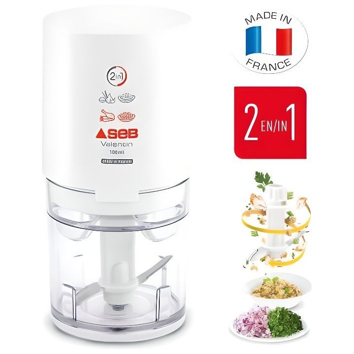 SEB 855306 Mini Hachoir Valentin, Hache, Coupe, Cisele tous types d'in