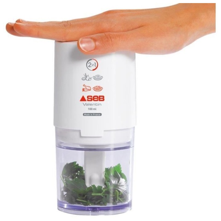 SEB 855306 Mini Hachoir Valentin, Hache, Coupe, Cisele tous types d'in