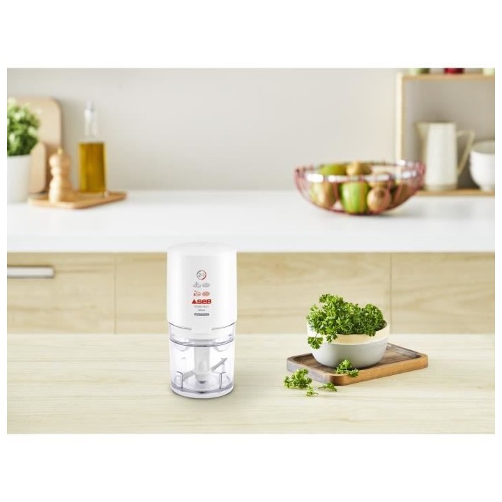 SEB 855306 Mini Hachoir Valentin, Hache, Coupe, Cisele tous types d'in