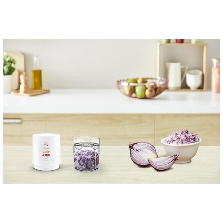 SEB 855306 Mini Hachoir Valentin, Hache, Coupe, Cisele tous types d'in