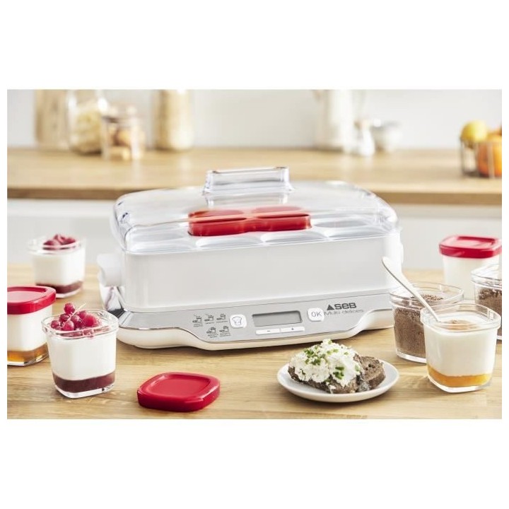 SEB YG661500 Yaourtiere Multidélices Express 12 pots 140 ml, Sans BPA