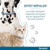 Seresto Chat Collier Anti-Puces et Anti-Tiques 2 unités