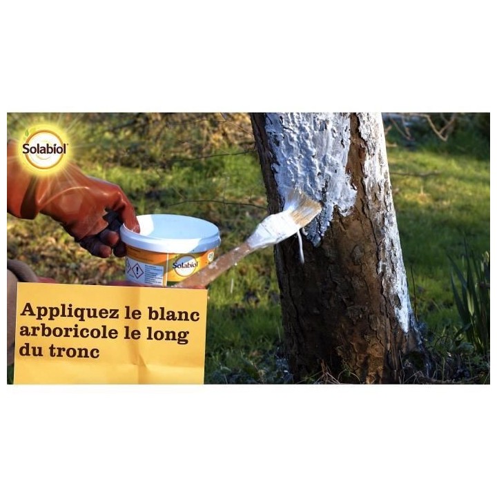 SOLABIOL SOBLANC1 Blanc arboricole Seau 1L, Origine Naturelle
