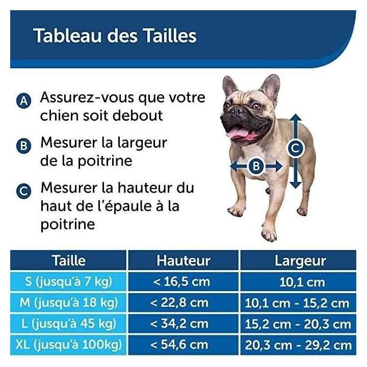 PetSafe - Petite Chatiere Staywell - Cadre en Aluminium pour Chat et P