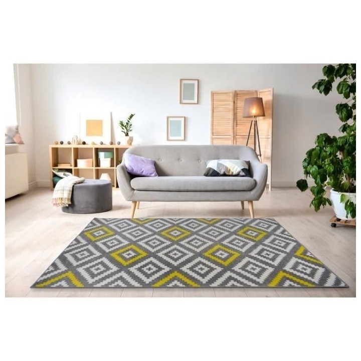 TAVLA Tapis de salon moderne - 160 x 230 cm - 100% polypropylene fris