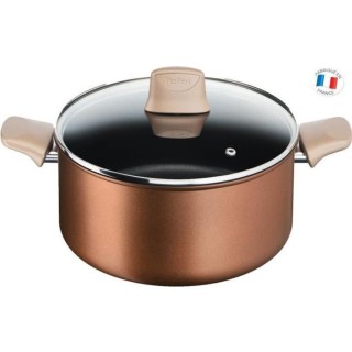TEFAL G2544602 Faitout 24 cm ECO-RESPECT - antiadhésive - Tous feux d