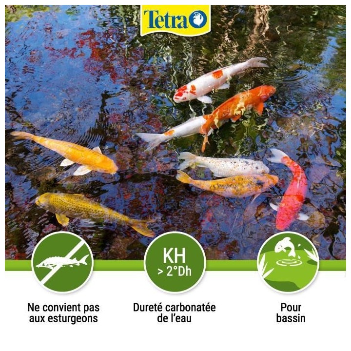 TETRA Pond Algorem 3 L - Pour aquarium