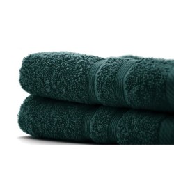 TODAY Lot de 1 Serviette de bain 50 x 100 cm + 1 Drap de bain 70 x 130 cm Emeraude - 100% coton TODAY