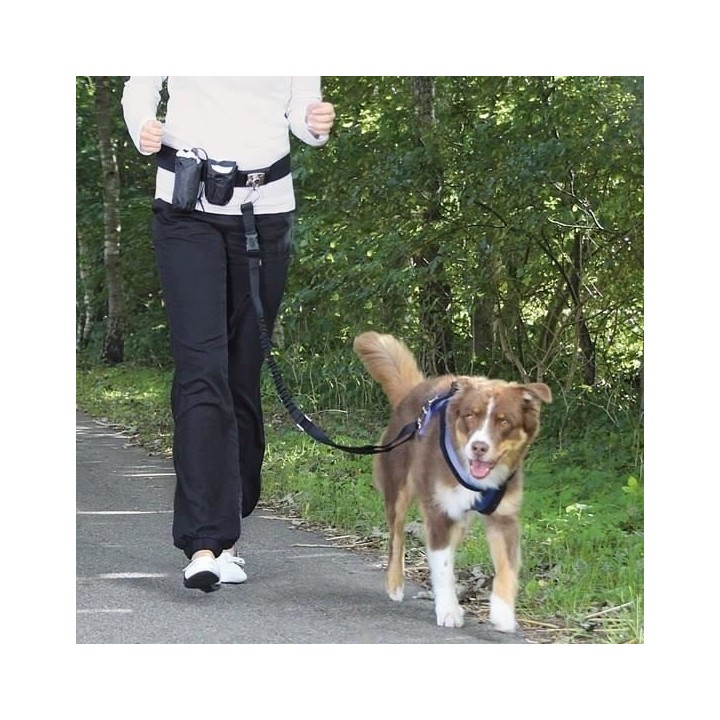 Ceinture ventrale avec laisse