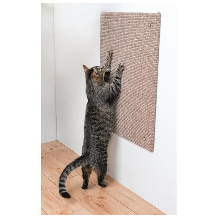 TRIXIE Griffoir XXL - Tapis en sisal / Catnip - 50 x 70 cm - Taupe - P