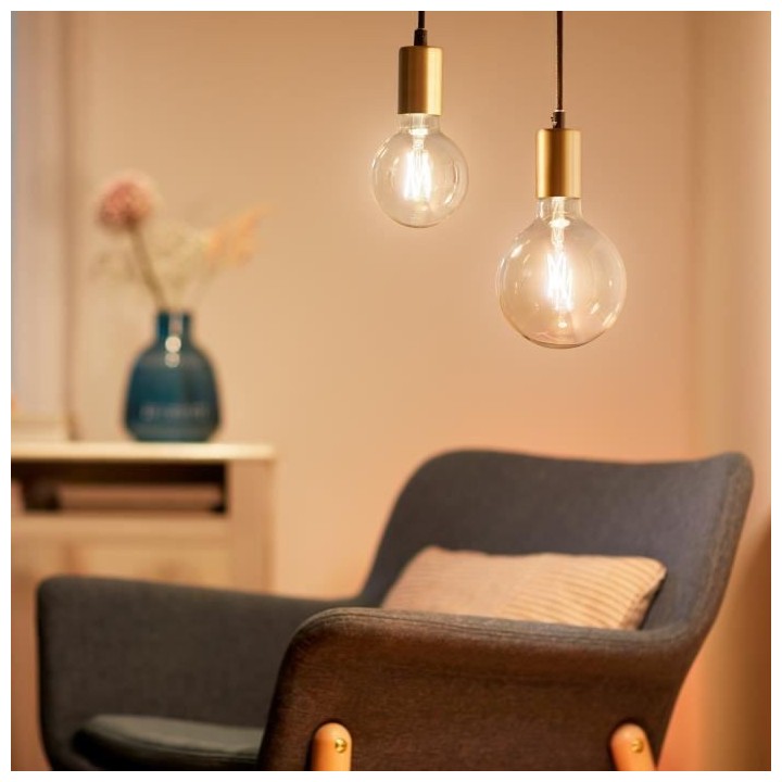 WiZ Ampoule connectée Globe 95 vintage Blanc variable E27 50W