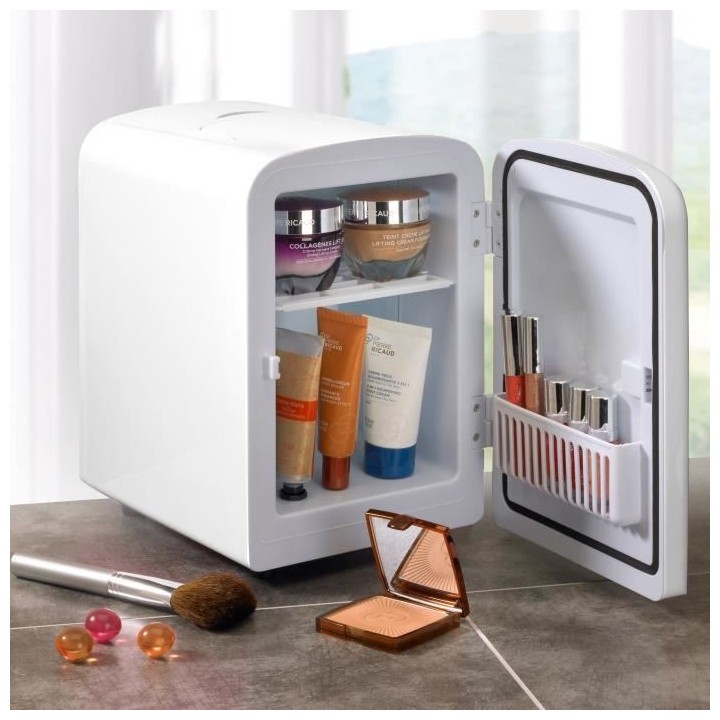 YOGHI Mini Réfrigérateur 4 L Cosmétiques versatile et silencieux -