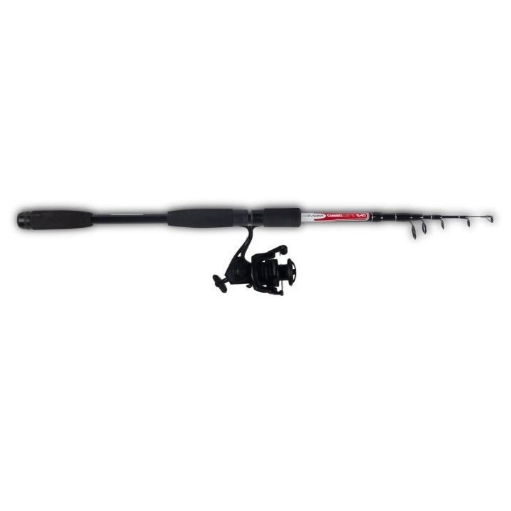 ZACK - Ensemble telesco carbone 2m40 - 10/30 g