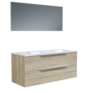 Ensemble Meuble salle de bain L 120 - Vasque + 2 tiroirs + miroir - D