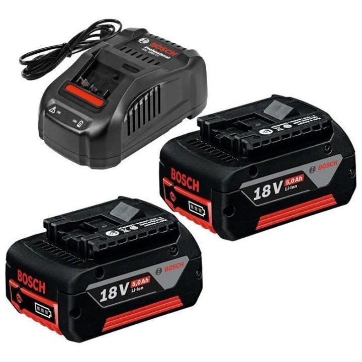 Bosch Professional - Starter Set batterie 2x5,0Ah