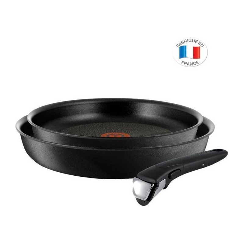 TEFAL L6509102 Ingenio Expertise Lot 2 poeles 22/26 cm + poignée, Induction + four, Revetement antiadhésif, Fabriqué en Franc