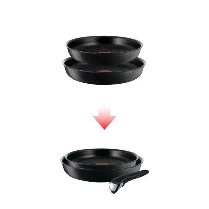 TEFAL L6509102 Ingenio Expertise Lot 2 poeles 22/26 cm + poignée, Ind