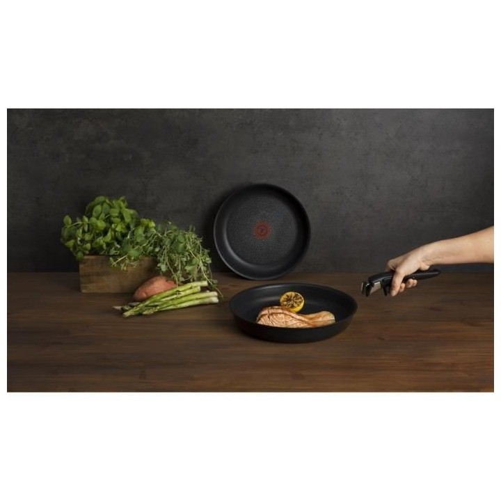 TEFAL L6509102 Ingenio Expertise Lot 2 poeles 22/26 cm + poignée, Ind