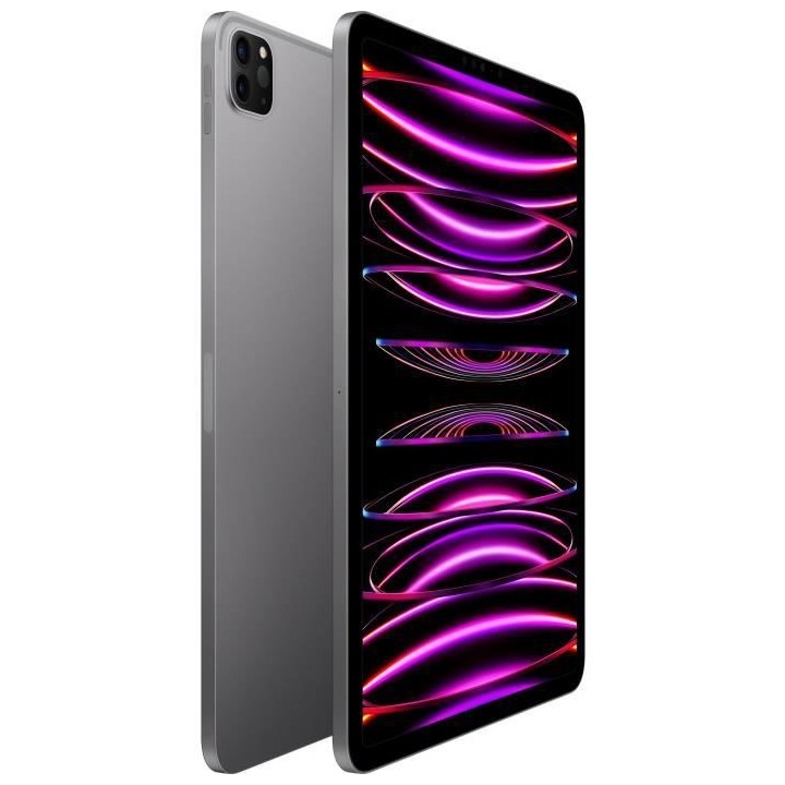 Apple - iPad Pro (2022) - 11 - WiFi + Cellular - 2 To - Gris Sidéral