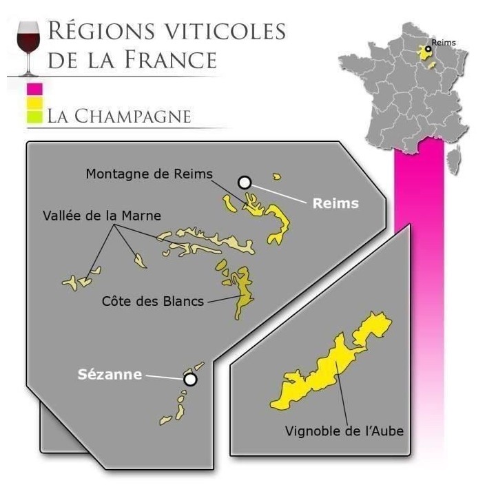 Champagne Deutz Millésimé 2015 Blanc de blancs - 75 cl