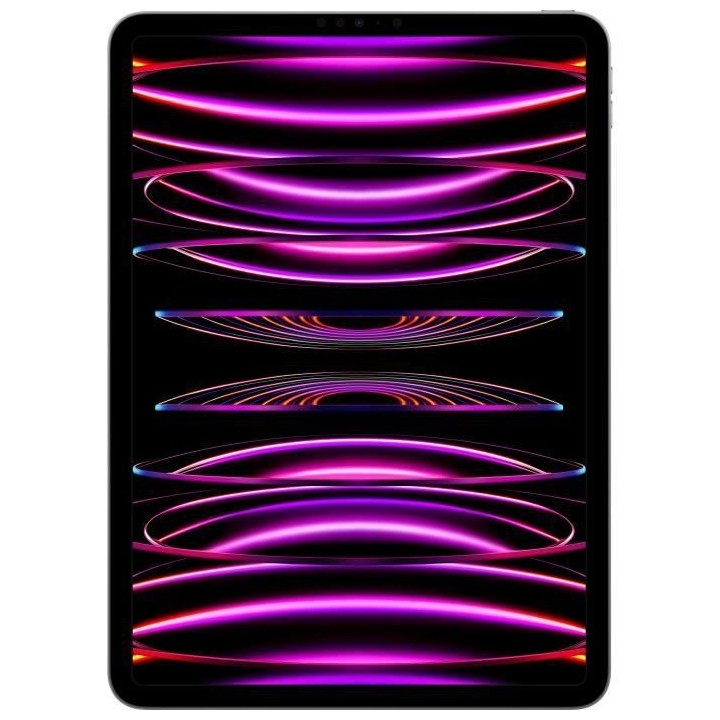 Apple - iPad Pro (2022) - 11 - WiFi - 512 Go - Gris Sidéral