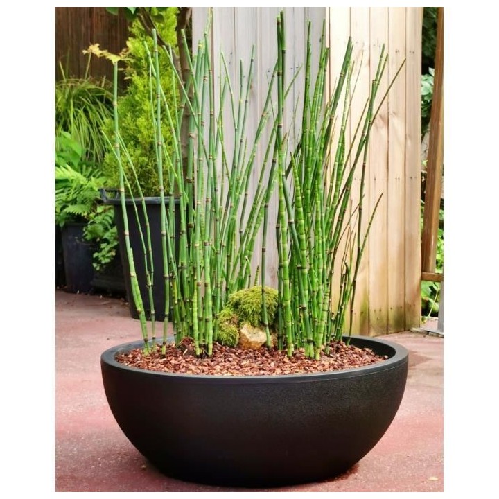 RIVIERA - Coupe pot de fleurs - granit D40 - noir