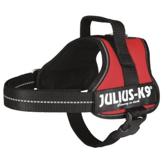 Harnais Power Julius-K9 - Mini - M : 51-67 cm-28 mm - Rouge - Pour chi