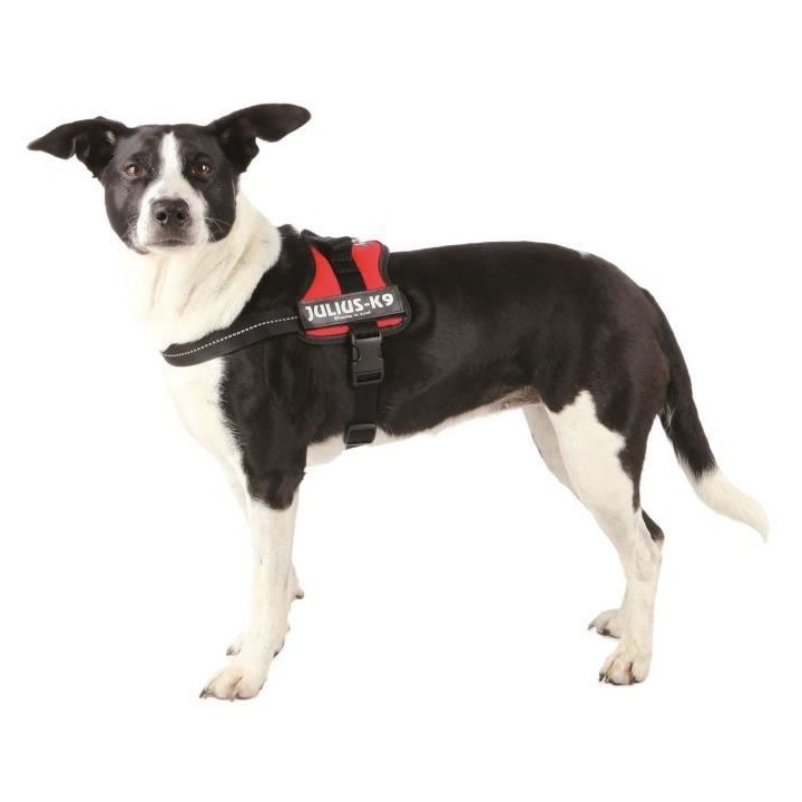Harnais Power Julius-K9 - Mini - M : 51-67 cm-28 mm - Rouge - Pour chi