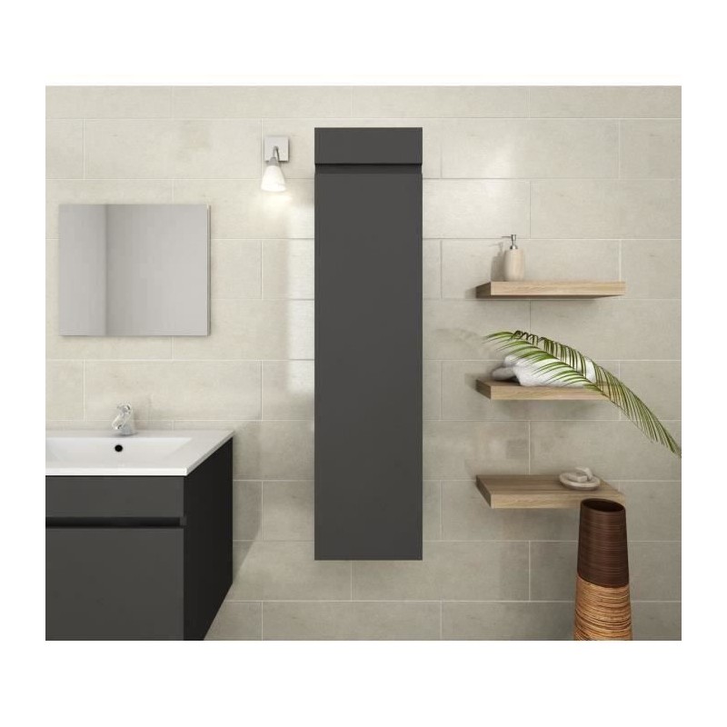 LUNA Colonne de salle de bain L 25 cm - Gris mat