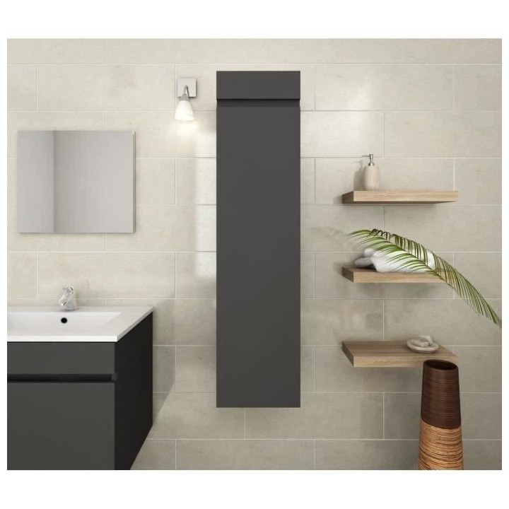 LUNA Colonne de salle de bain L 25 cm - Gris mat
