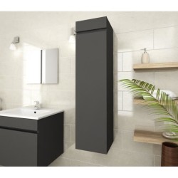 LUNA Colonne de salle de bain L 25 cm - Gris mat