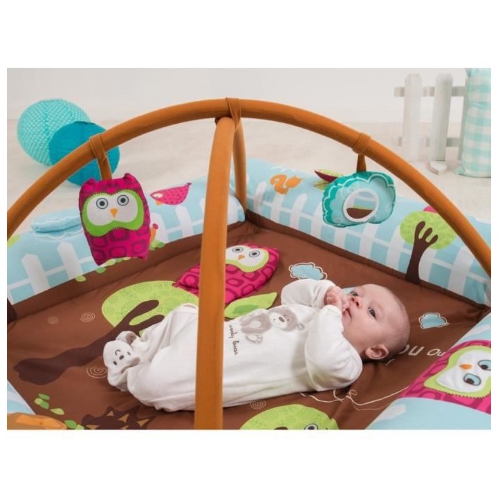 LUDI Aire d'éveil évolutive Chouette + Arche