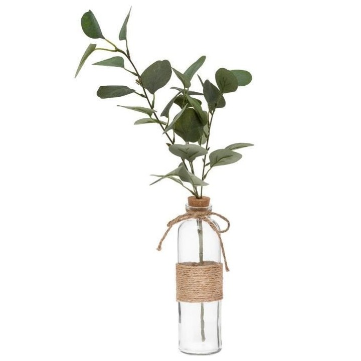 Vase + Eucalyptus + Corde - H45 cm