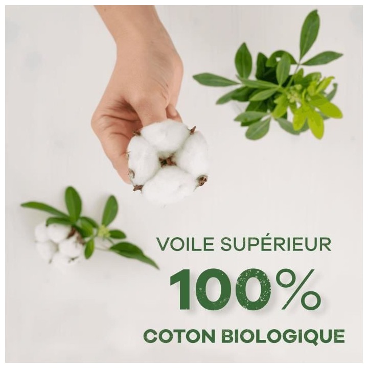 Always Serviettes Cotton Protection Normal Plus 12 unités