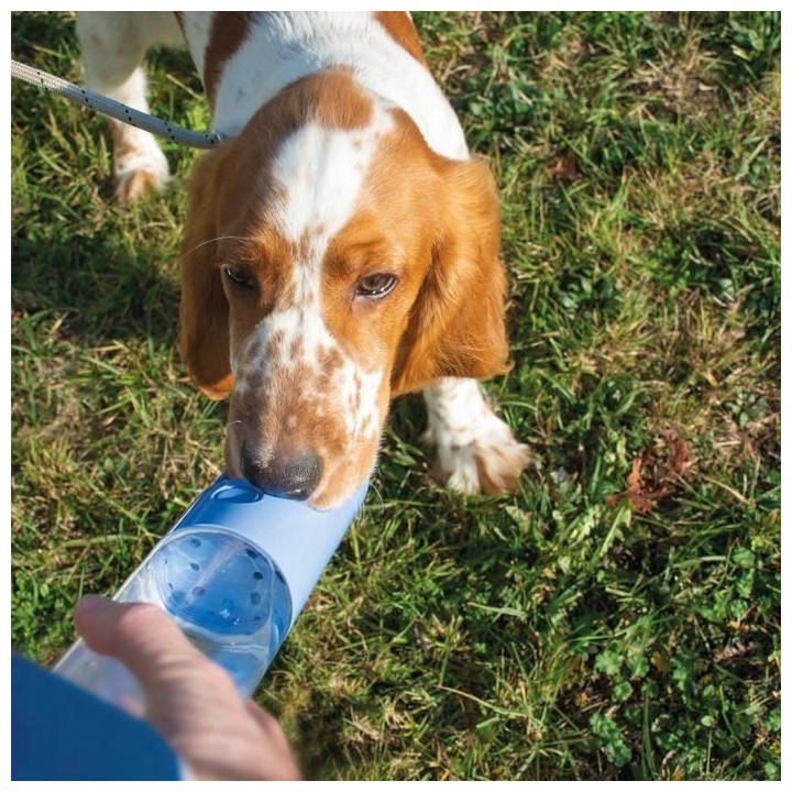 Duvo+ Chien Bouteille D'Eau rose 28,5x6,5x6,5cm 0,18Kg