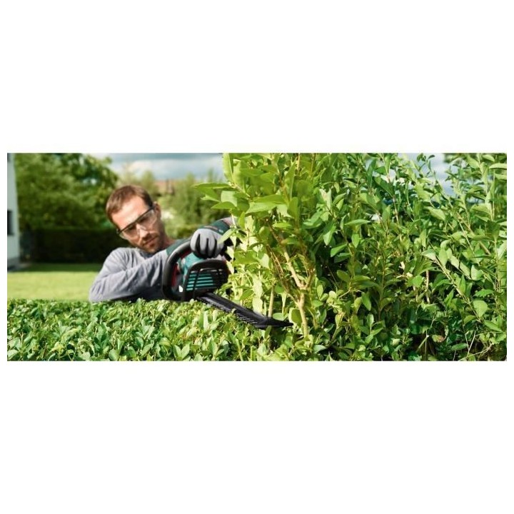 Taille-Haies sans fil Bosch - AHS 50-20 LI (1 batterie 18 V 2,5 Ah, 1