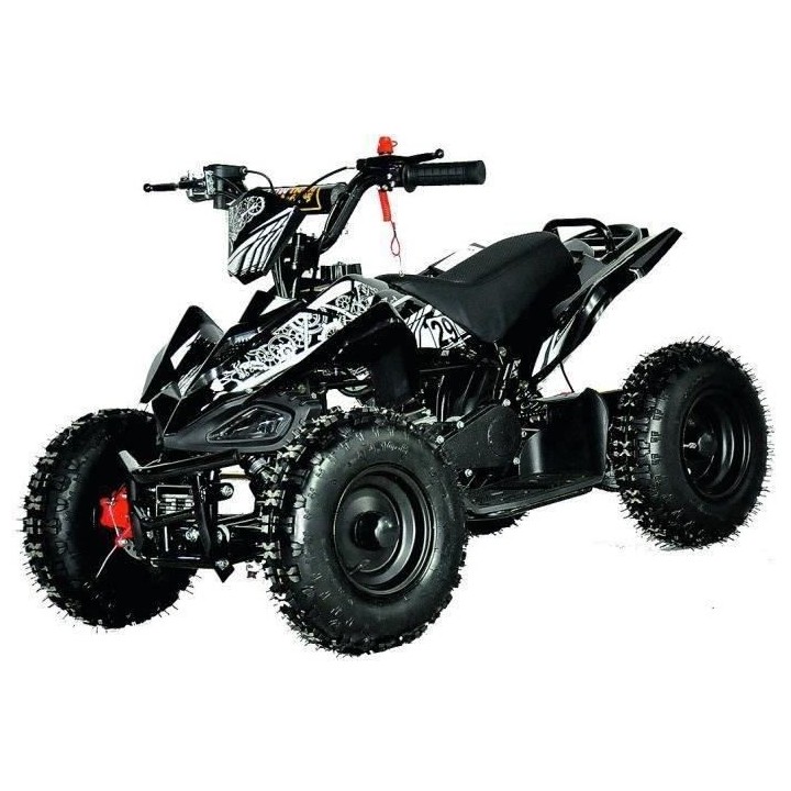 PRORIDER USA - Quad pocket - Enfant - 49 cc - 2 temps - Noir