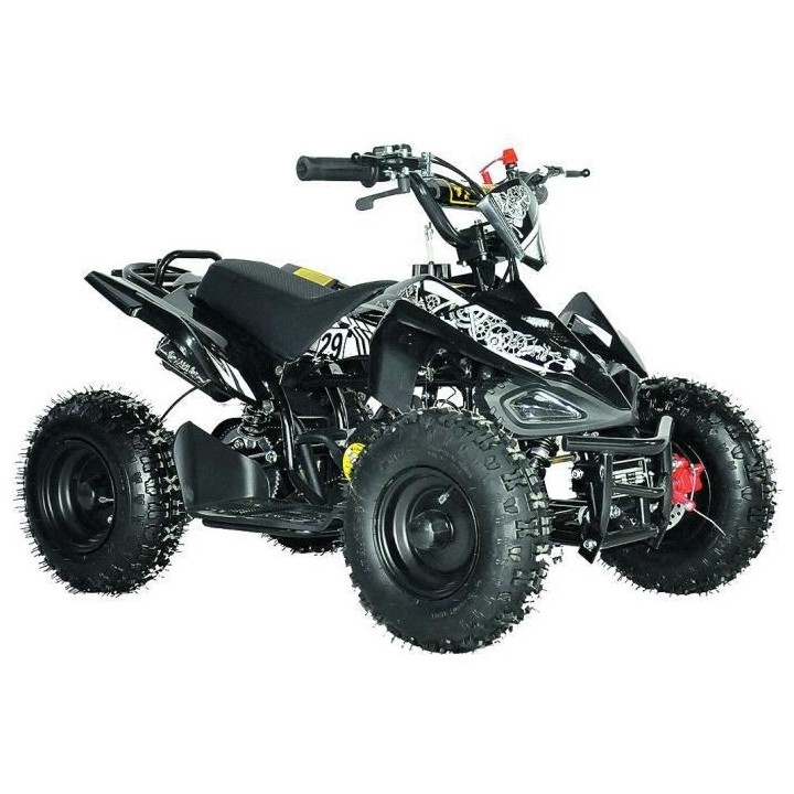 PRORIDER USA - Quad pocket - Enfant - 49 cc - 2 temps - Noir
