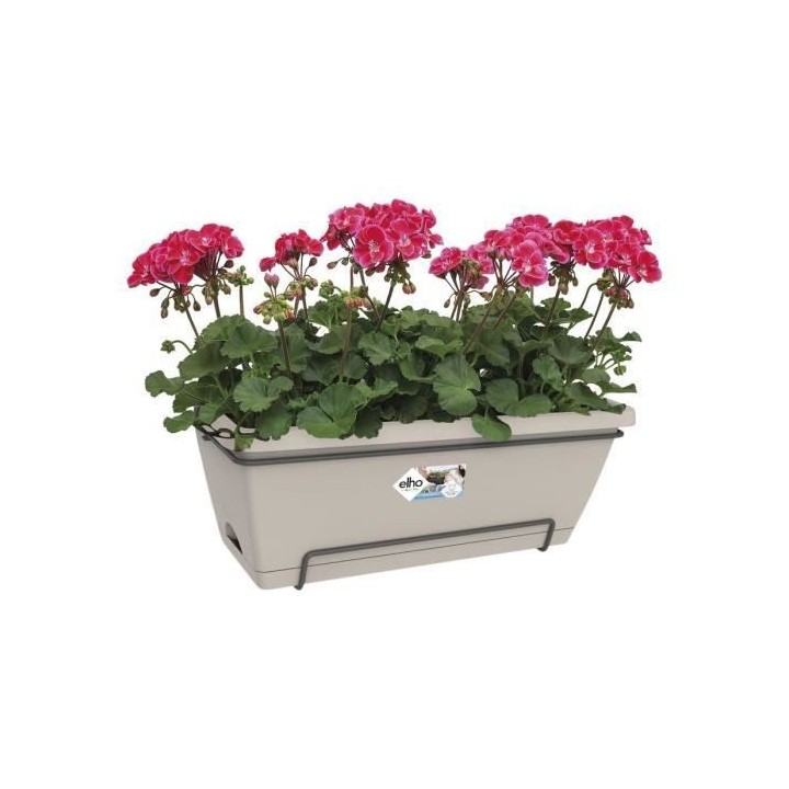 Barcelona Xl Allin1 55 taupe