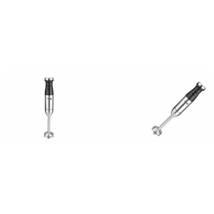 FAGOR FG531 Set Mixeur plongeant - 800W - Lame en acier - 5 vitesses +