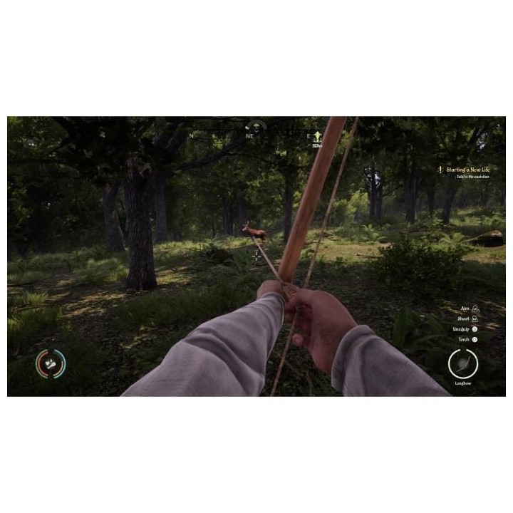 Medieval Dynasty Jeu PS5