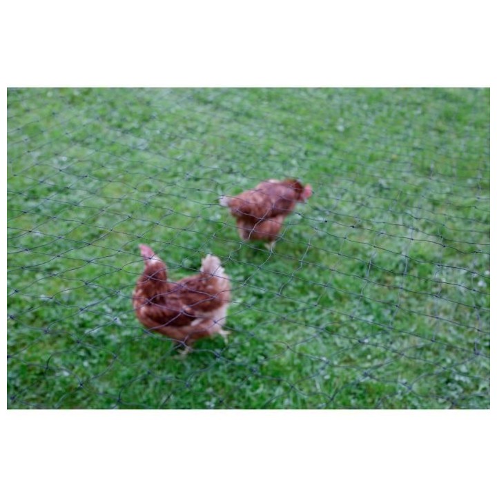 Filet de protection KERBL - Maille 60 mm - 10 x 5 m - Noir - Pour vola