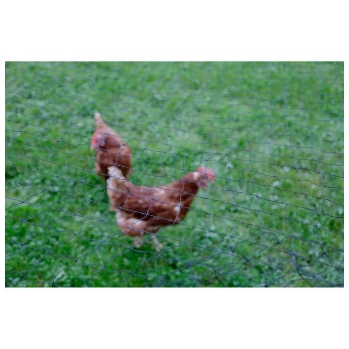 Filet de protection KERBL - Maille 60 mm - 10 x 5 m - Noir - Pour vola