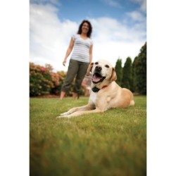 PetSafe - Systeme de Clôture Anti-fugue avec Fil pour Chien de plus 3,6 Kg – Avertissement Sonore/Eléctrostatique,Facile a I