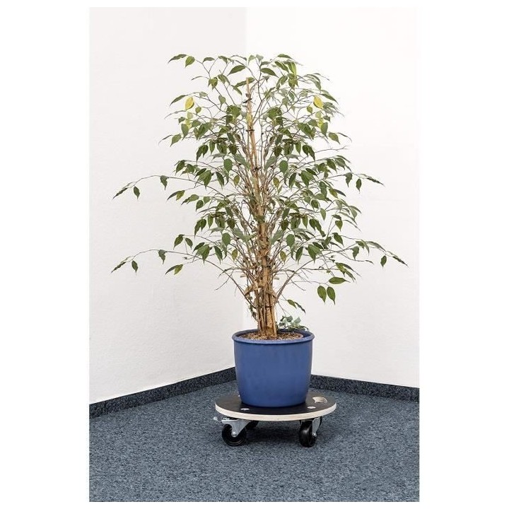 MEISTER Chariot de manutention a roulettes 380 mm 200 kg