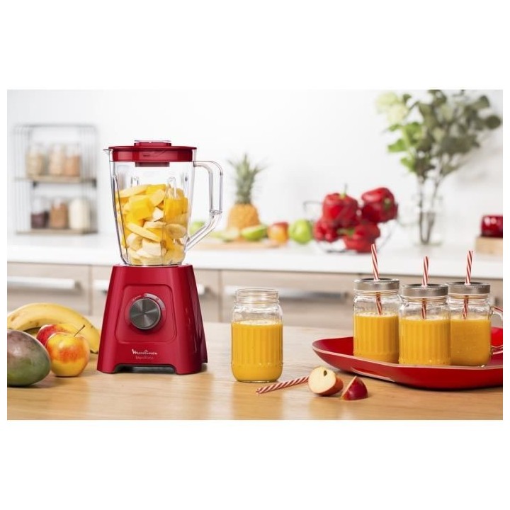 MOULINEX LM420510 Blender électrique, Mixeur, 600 W, Bol 1,25 L, 5 pr