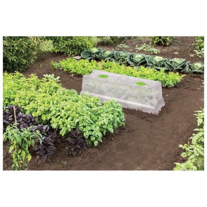 EDA Serre 75x37,5x21,5cm - Naturel